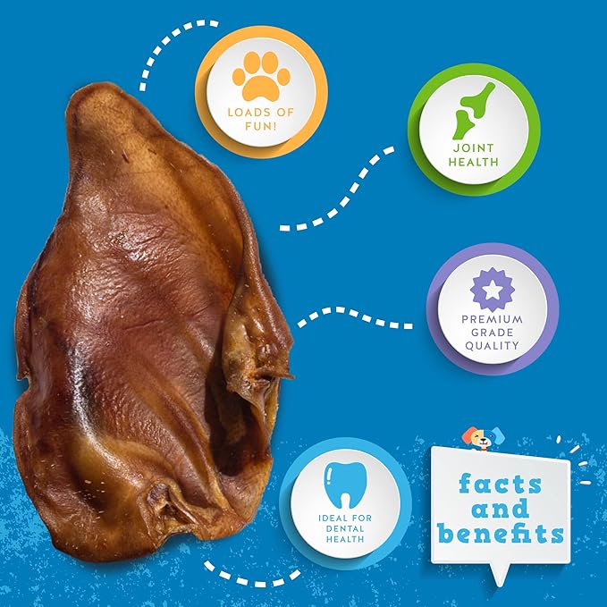 Jack&Pup Whole Pig Ears for Dogs | Premium Pig Ears Dog Treats for Large Dog to Small | All Natural, Digestible and Single Ingredient (65 Pack)