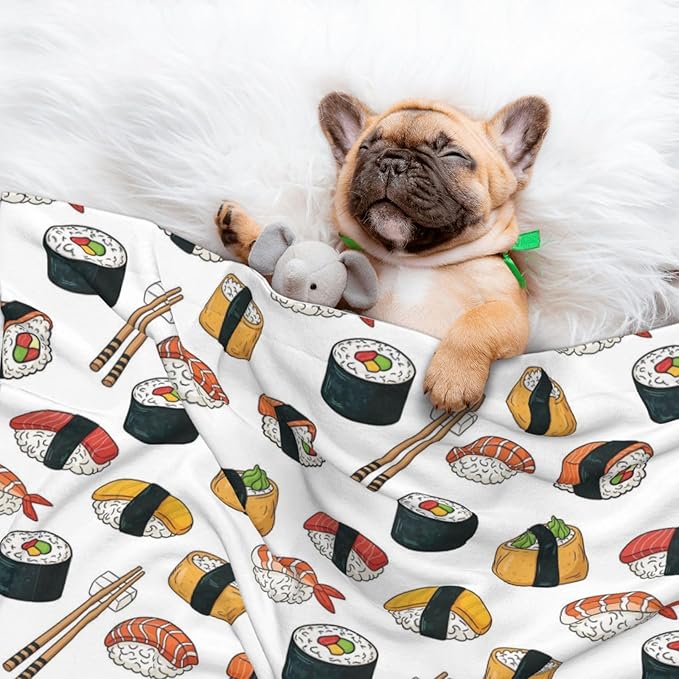 Reversible Plush Pet Blanket for Puppies Kittens, Sushi, Double Sided Gentle Dot Texture for New Pets Adjusting to Home Environment Softly