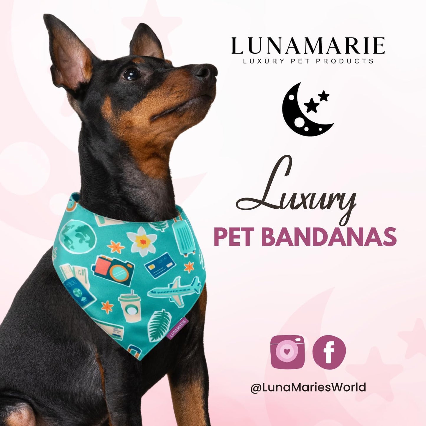 LunaMarie - Luxury Pet Birthday Bandanas -Premium & Silky Poly Fabric | 100% Handmade | Custom Shape Dual Layered (Pawsport Club, Large)