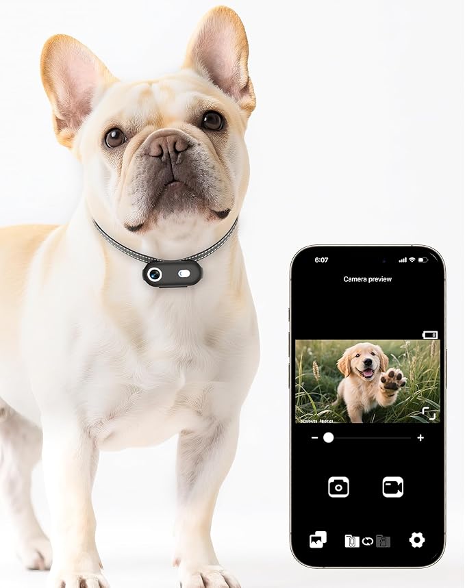 Dog & Cat Camera Collar with Phone APP, 1080P HD Video Recording, XS/M-Size Pet POV Cam for Dogs & Big Cats, Cordless Pet Collar Cameras with APP Viewing