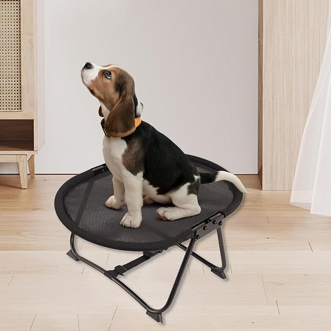Elevated Pet Bed Furniture Lightweight Portable Gifts up Multifunctional Foldable Outdoor Accessory Pet Supplies, Mesh