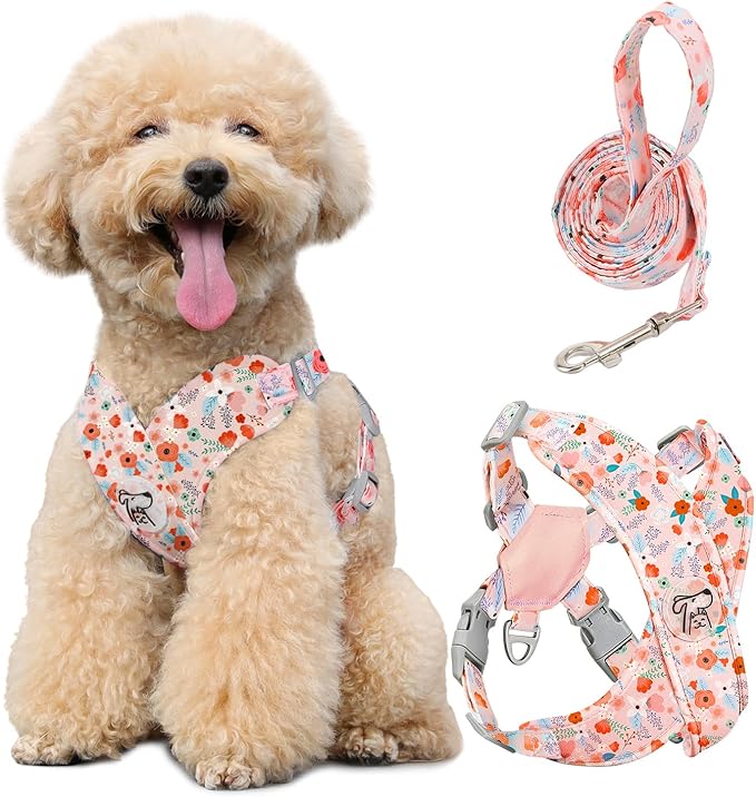 Pawaboo Small Dog Harness and Leash Set, Puppy Harness X-Frame No Pull No Choke, Dog Vest Harnesses Adjustable for Small Medium Sized Dogs,Soft Breathable Pet Harnesses for Walking, M, Pink Flowers