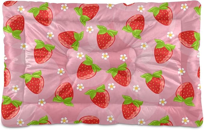 Pet Bed Strawberry Fruits Dog Bed Mat Absorbing Non Slip Pad Pet Sleeping Mat for Small, Medium, and Large Dogs Puppy Cat 36 in x 24 in