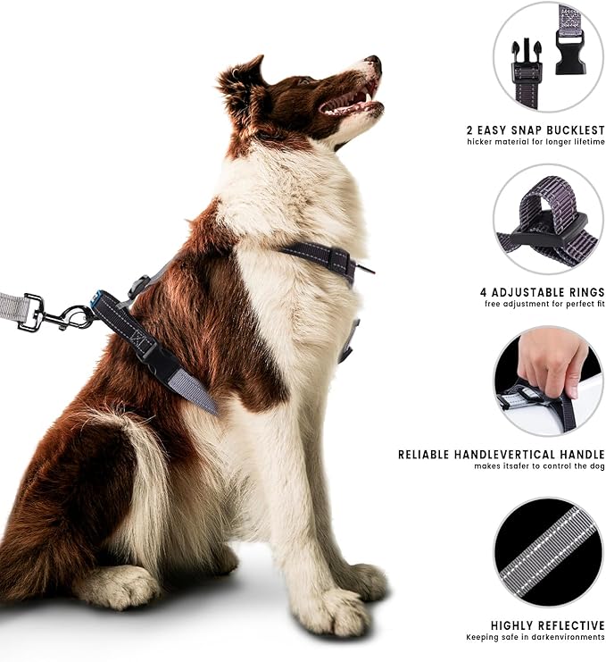 Roses&Poetry Puppy Dog Harness and Leash Set, No Pull Dog Harness Adjustable Reflective, Dog Halter Harnesses Comfort Padded Handle, Pet Harness for Training Outdoor Walking（BlackGray-S