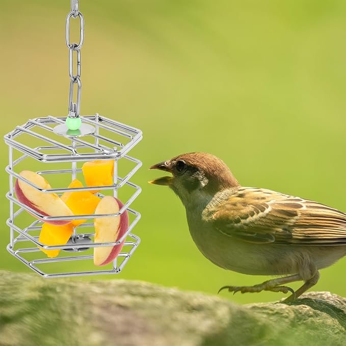 Stainless Steel Bird Suet Feeder Cage with Chain & Bead, Hanging Bird Food Holder Intelligent Feeding Box Millet Treat Holder for Macaw Cockatoo Cockatiel Parrot