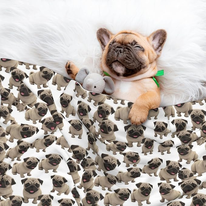 Reversible Plush Dot Pet Blanket for Dogs and Cats, Cute Pug Dog, Ultra Soft Two Sided Design with Warm Fuzzy Side and Smooth Side for Comfort