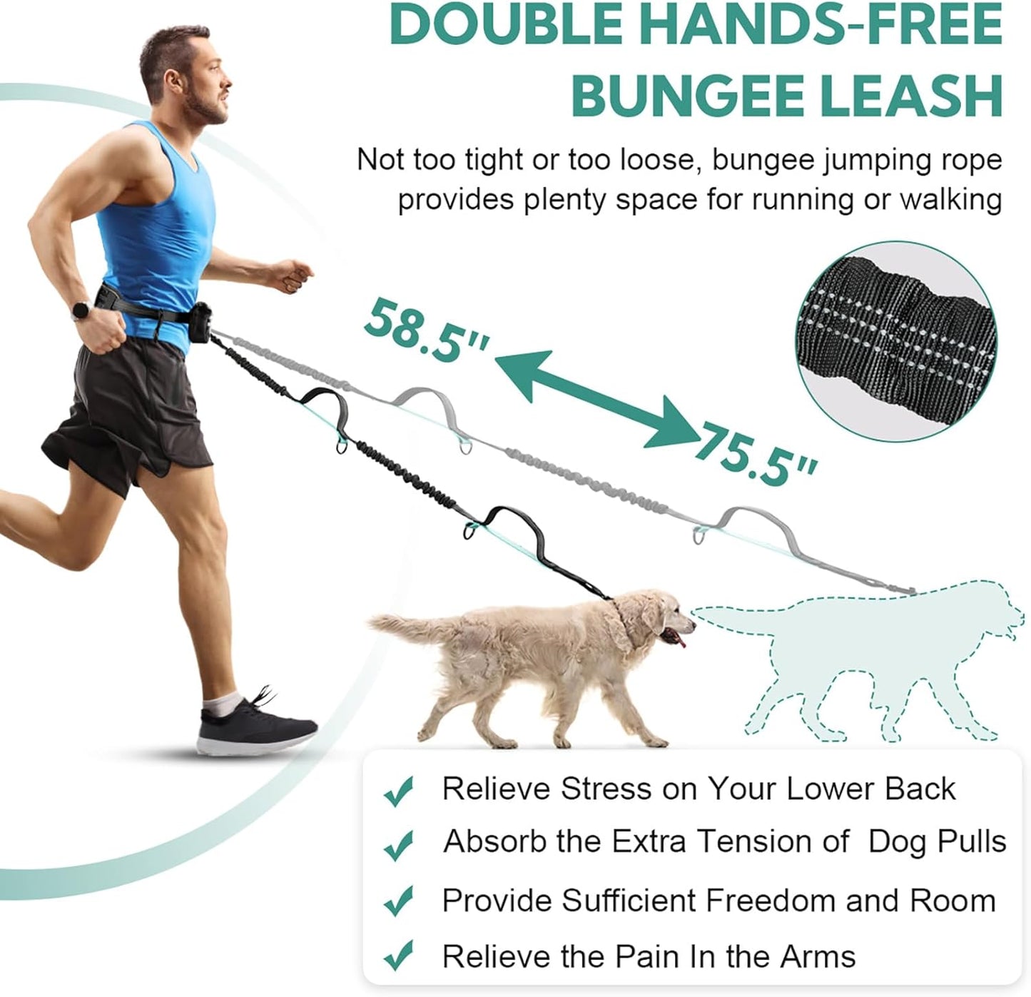 Hands Free Dog Leash, Retractable Bungee with Double Padded Handles, Waist Leash for Dog Walking, Heavy Duty for Large Dogs, Mint Green
