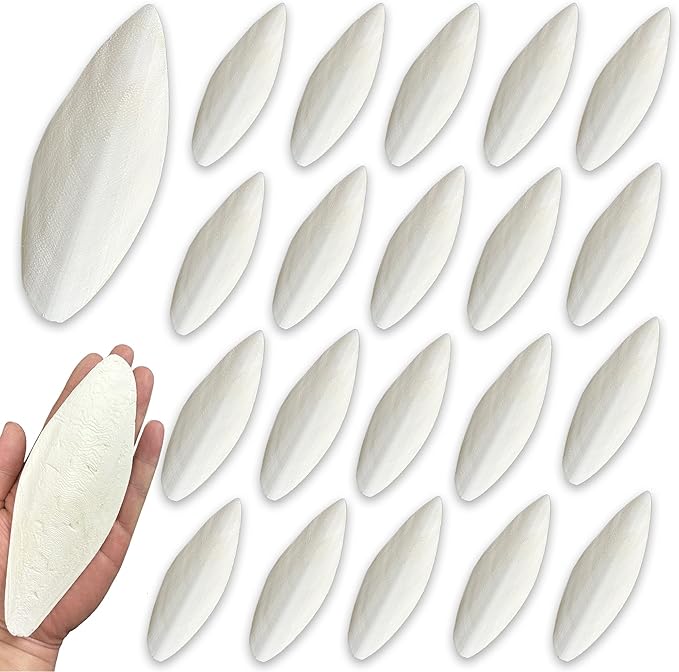 Bird Cuttlebone for Parakeets Cuttlebone for Birds - 100% Natural Cuttlefish Bone Bulk Chew Toy Bird Bites Calcium Stone for Canaries Tortoises,Snails,Reptiles,Parrots,Cockatiel