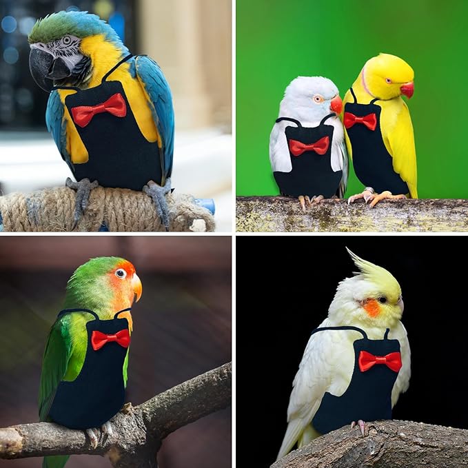 Bird Diaper Washable Reusable Parrot Flight Suit Nappies Protective Breathable Parrot Nappy Clothes for Parakeet, Macaw, Budgie, Canary, Cockatiel (Black, Small)