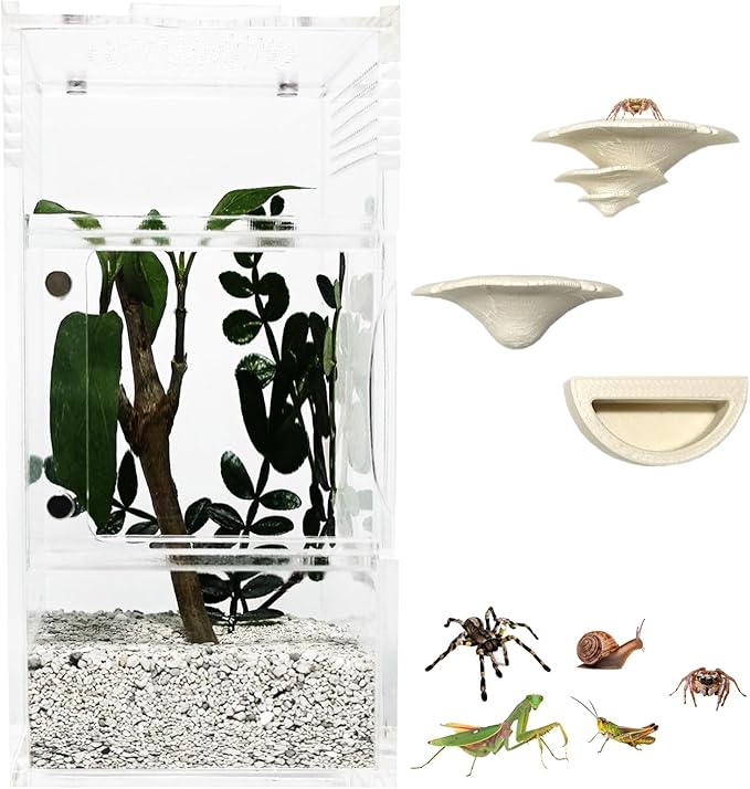 Jumping Spider Enclosure with Mushroom Ledges & Water Bowl Accessories, Acrylic Reptile Terrarium Habitat for Tarantulas, Bugs, Snails, Mantis, Small Insects, Dual Doors, No Assembly Required