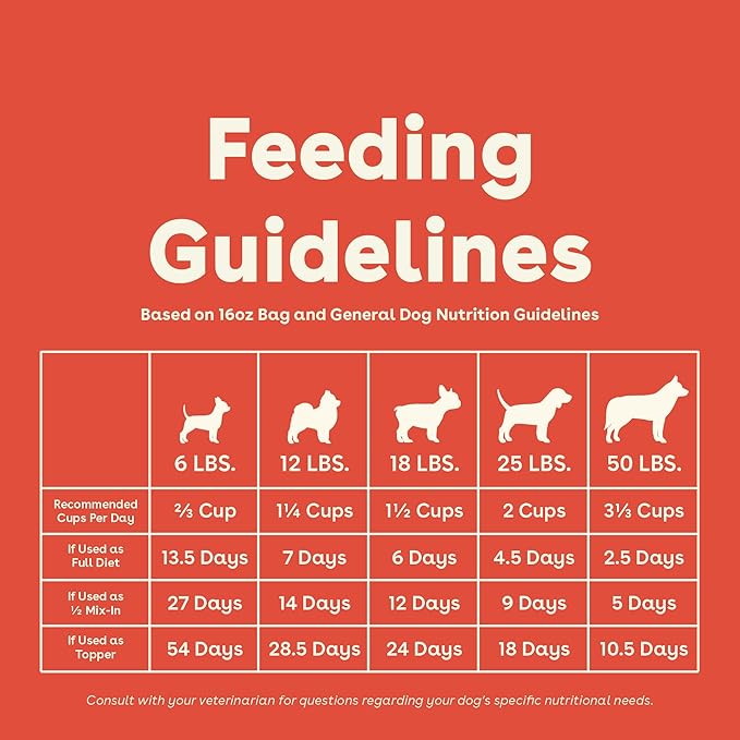 Pupford Good Dog Food, Freeze-Dried Raw, High-Protein, Superfood Ingredients, Vet-Approved, No Fillers or Artificial Additives (Beef Recipe, 16 oz)
