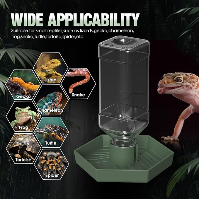 Reptile Water Dispenser-Bearded Dragon Water Bowl - Small Water Dish for Tortoise - Bowls for Reptiles & Amphibians (S)