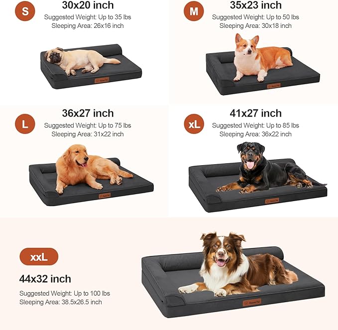 Chew Proof Dog Bed, 3" Memory Foam Dog Bed for Small and Medium Dogs, Removable and Washable Microsuede Cover, Waterproof Liner, Nonskid Bottom, 35x23 Inches M Dark Grey