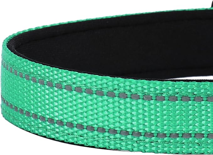 Reflective Dog Collar, Adjustable Soft Neoprene Padded Nylon Pet Collars with Buckle for Puppy and Small Dogs, Cats, Grass Green,XS