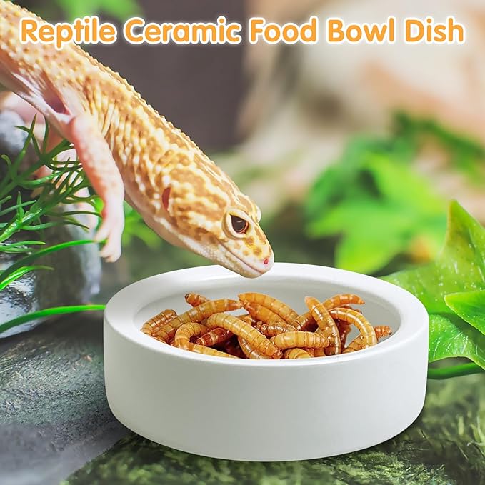 Tfwadmx 6 Pack Reptile Food Bowl, Mini Ceramic Water Feeder Bowl, Reptile Worm Feeding Dish for Lizard Turtle Bearded Dragon Anoles Crested Gecko Hermit Crab Leopard Gecko Chameleon Corn Snake