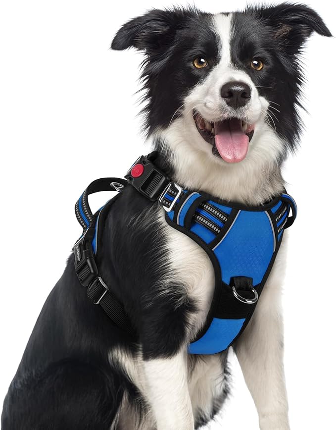 rabbitgoo Dog Harness Medium Sized, No Pull Dog Vest with 3 Buckles, Adjustable Soft Padded Pet Harness with Easy Control Handle and Reflective Strips, Royal Blue, M