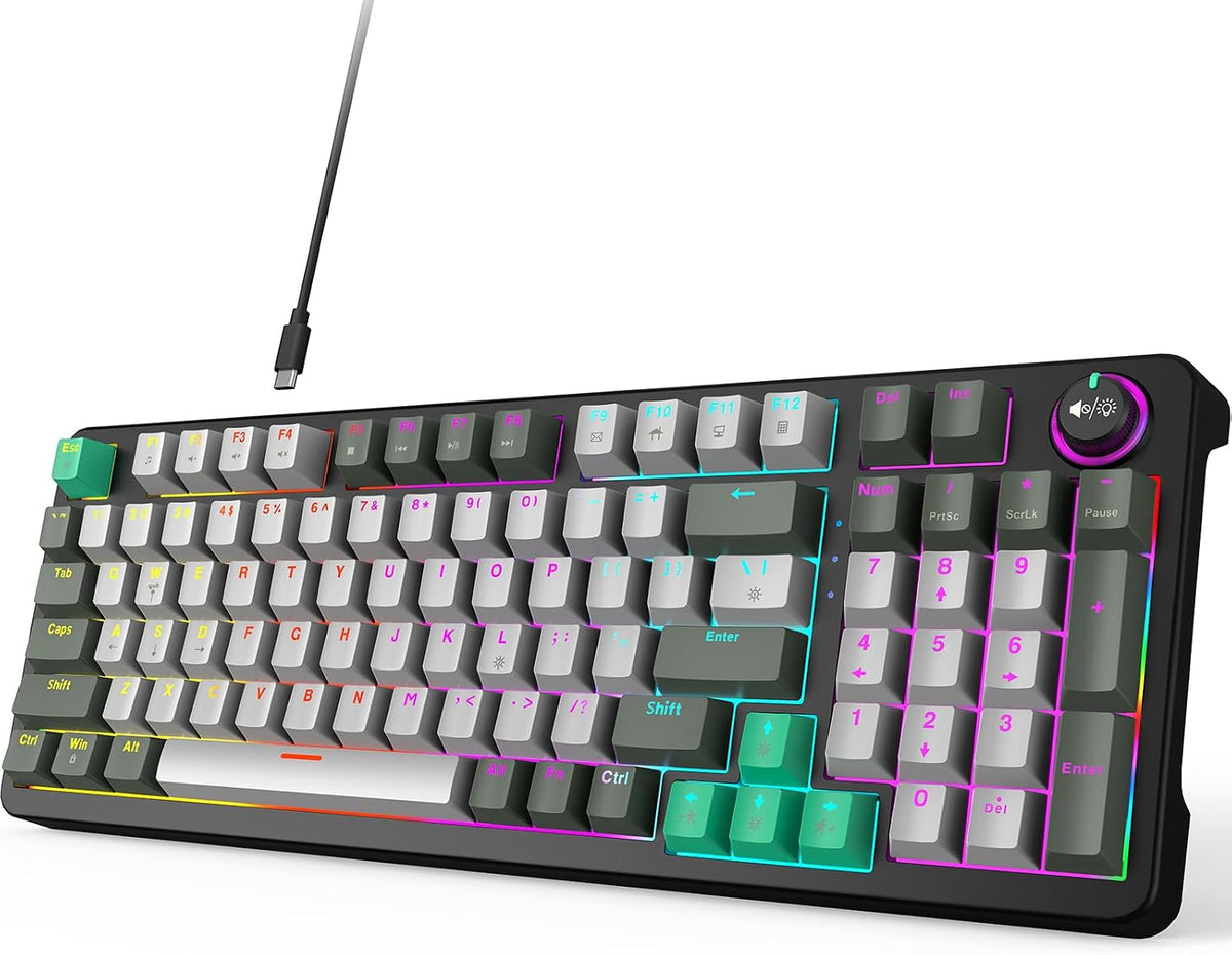 MOFII AK96 Mechanical Gaming Keyboard, Full Keys LED Backlit Programmable, Plug and Play USB A/C Wired Computer Custom Keyboard with Sound/Light Control Knob for Win/Mac - Gray & Black