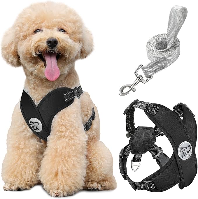 Pawaboo Small Dog Harness and Leash Set, Puppy Harness X-Frame No Pull No Choke, Dog Vest Harness Adjustable for Small Medium Sized Dogs, Soft Breathable Pet Harness for Walking Outing (M, Black)
