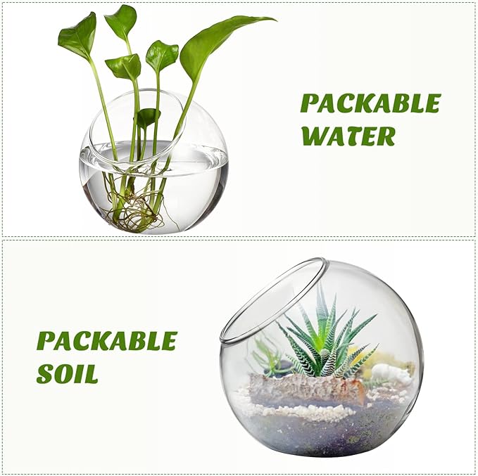 Toyvian 3pcs Terrarium Glass Bowls for Air Plants for Hydroponics Miniature Garden Desktop Containers for Home Office for Bromeliads