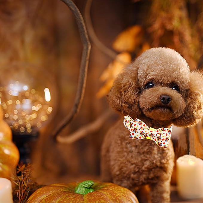 Thanksgiving Dog Collar, Turkey Dogs Collars Bow Tie Pet Collar Adjustable Pet Collars Premium Metal Buckle Autumn Leaf Necklace for Medium Dogs