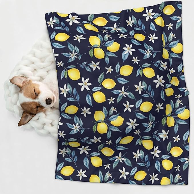 Reversible Dog Blanket for Beds Couches, Citrus Fruit Flower Lemon Green, Double Sided Cat Blanket with Textured Dot Feel and Smooth Feel for Seasonal Comfort All Year