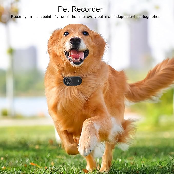 Gugxiom Cat Collar Camera, 1080P HD 2.4G Dog POV Collar Pet Wearable Body Camera with APP, for Pets Cats Dogs (Black)