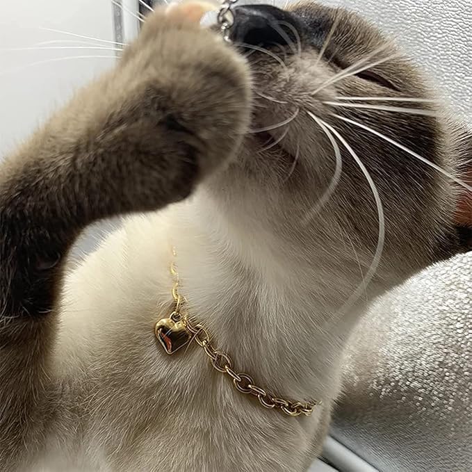 HOWWFALY Dog Collar and Cat Chain Necklace Stainless Steel Adjustable 18K Gold Heart-Shaped Necklace for Small Pets Cats Kitten Puppy (Gold, 7 inch)
