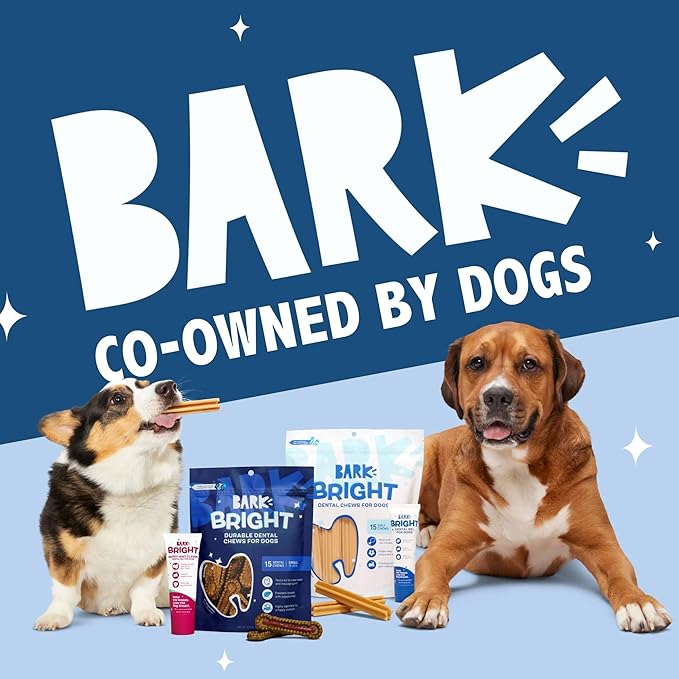 Barkbox Bright Original Dog Dental Chew Sticks Plaque and Tartar Cleaning, Large Breeds, 2X 15 Count Bags - (30 Chews)