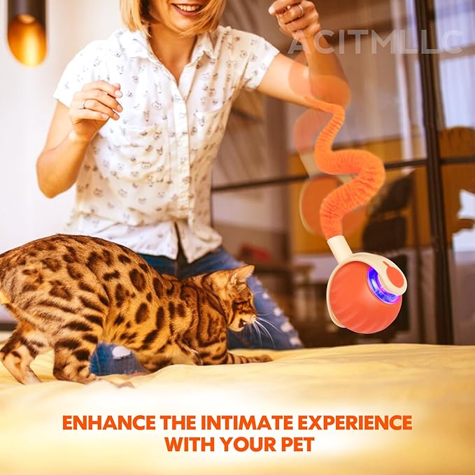 Interactive Cat & Dog Toy Ball, Automatic Moving/Jumping/Bouncing, Smart Pet Chase Ball with Feather Tail, Electric Rechargeable Enrichment Toys for Indoor Bored Cats & Small Dogs (Orange)