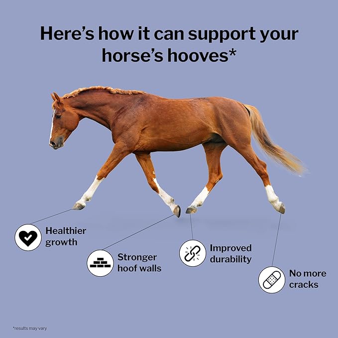 Formula 707 Hoof Health Equine Supplement 5 lb Bag - 80 Servings – Biotin, Amino Acids, and Minerals to Improve and Support Healthy Horse Hooves