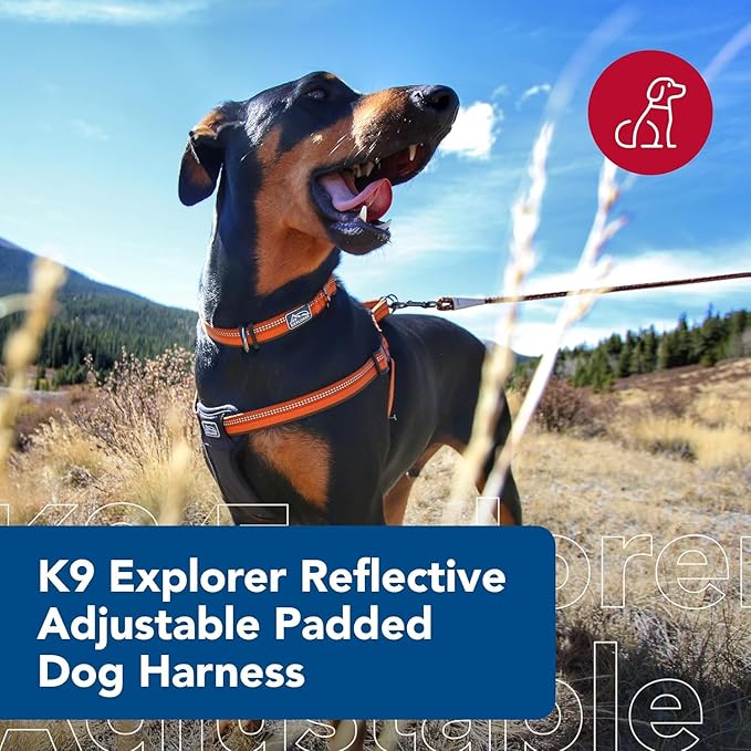 Coastal Pet K9 Explorer Reflective Adjustable Padded Dog Harness - Plush Chest Pad for Comfort - No-Pull Dog Harness for Small and Large Dogs - Campfire Orange - 5/8" x 12"-18", X-Small