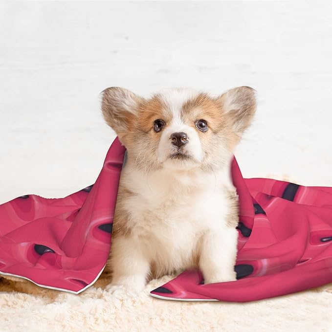 Reversible Plush Dot Pet Blanket for Dogs and Cats, Pink Watermelon, Ultra Soft Two Sided Design with Warm Fuzzy Side and Smooth Side for Comfort