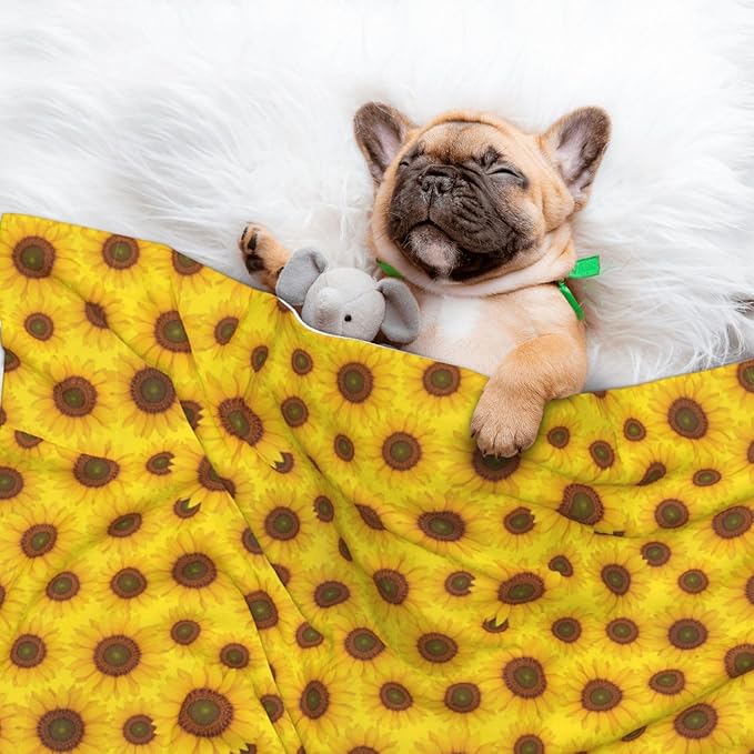 Pet Blanket for Couches and Beds, Beautiful Sunrise Sunflower Art, Reversible Double Sided Plush Design with Soft Bumpy Texture and Smooth Surface, Furniture Protector
