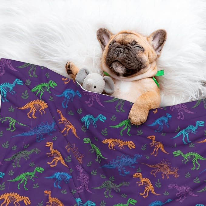 Dog and Cat Blanket in One, Cool Dinosaur Purple, Double Sided Plush Throw with Raised Dot Pattern on One Side and Flat Velvet on Other for Variety