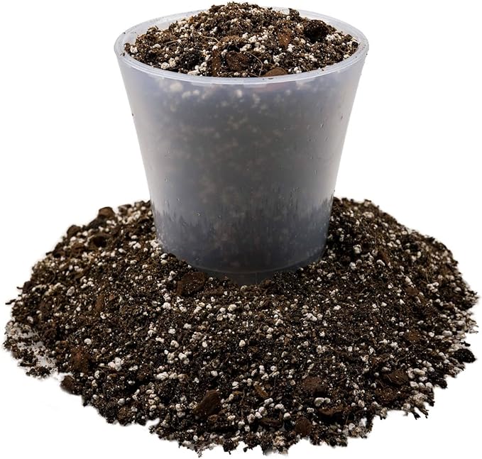 Gardenera Fiddle Leaf Fig House Plant Soil Premium All Purpose Blend - Peat Moss, New Zealand Bark, Coco Chips and Fibers, Perlite - 5 Quart Bag