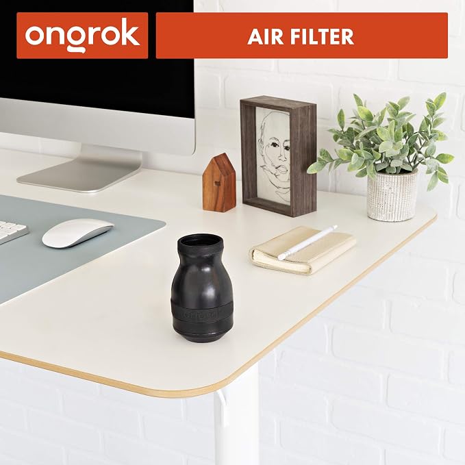 ONGROK Personal Air Filter