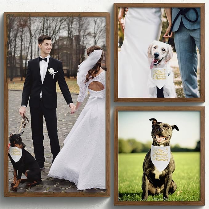 Engagement Gift, My Humans are Getting Married Dog Bandana, Wedding Photo Prop, Pet Scarf, Dog Engagement Announcement, Pet Accessories (Gold)