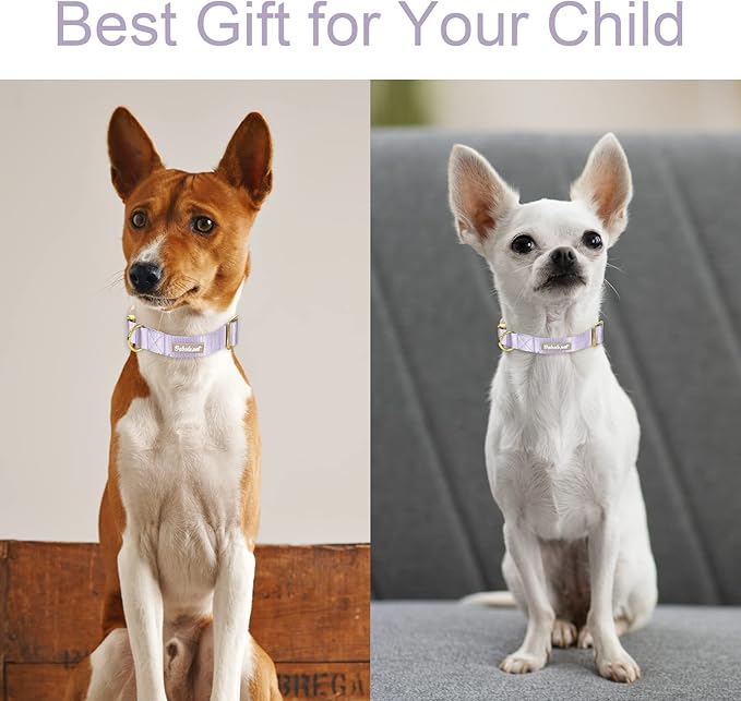 Nylon Dog Collar - Adjustable Lavender Soft Webbing Dog Collars for Small Medium Large Dogs Boy Girl Puppy Collar with Safety Metal Buckle XS
