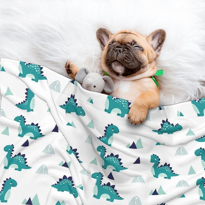 Pet Blanket for Couches and Beds, Funny Dinosaur Green, Reversible Double Sided Plush Design with Soft Bumpy Texture and Smooth Surface, Furniture Protector