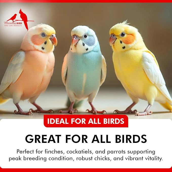 Morning Bird Breeders Blend 1.5 lbs – Protein Supplement for Birds – Supports Breeding, Chick Growth, Muscle Development & Immune Support – Daily Vitamin Blend for Strong Bones & Overall Health