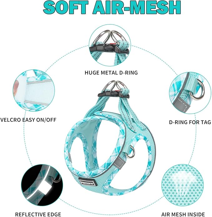 Mercano Soft Mesh Dog Harness and Leash Set, No-Chock Step-in Reflective Breathable Lightweight Easy Walk Vest Harnesses with Safety Buckle for Small Dogs, Cats (Light Blue, XXS)