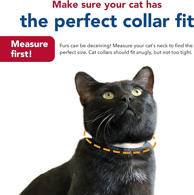 Coastal Pet New Earth Soy Adjustable Breakaway Cat Collar - Eco-Friendly, Odor-Resistant and Adjustable Cat Collar - Olive - 3/8" x 8"-12"