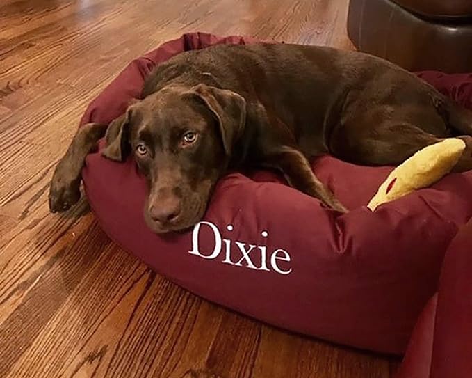 Majestic Pet Personalized 32 Inch Bagel Calming Dog Bed - Washable, Cozy Soft Round With Spine Support - Fluffy Donut 32x23x7 Inch Medium for Dogs to Rest Their Head - Burgundy