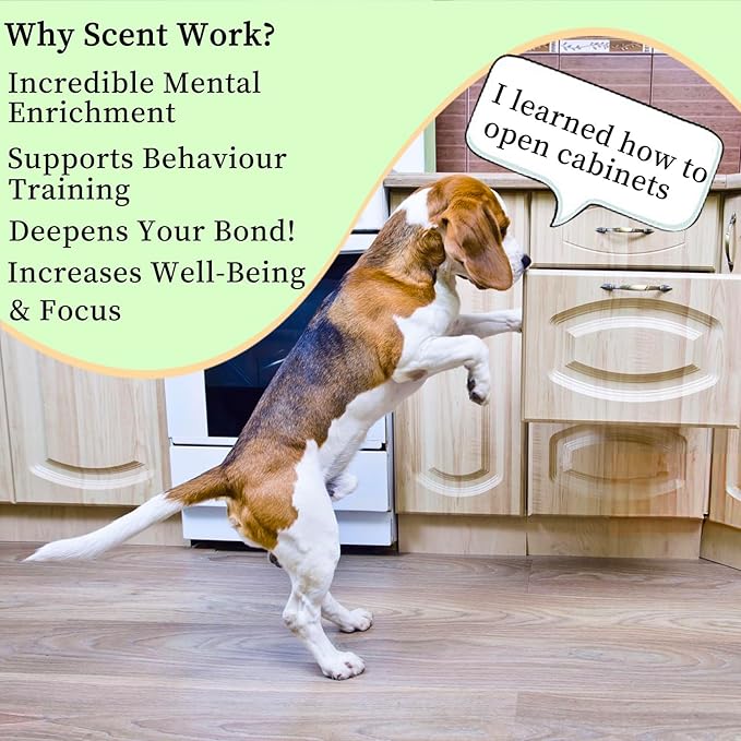 Dog Scent Training kit, Brain Games, Hide and Seek Toys - Fun Nose Work Games, Sniff and Seek Sniffing Toys, Nosework Kit, Scent Work Kit for All Ages Dog (Green)