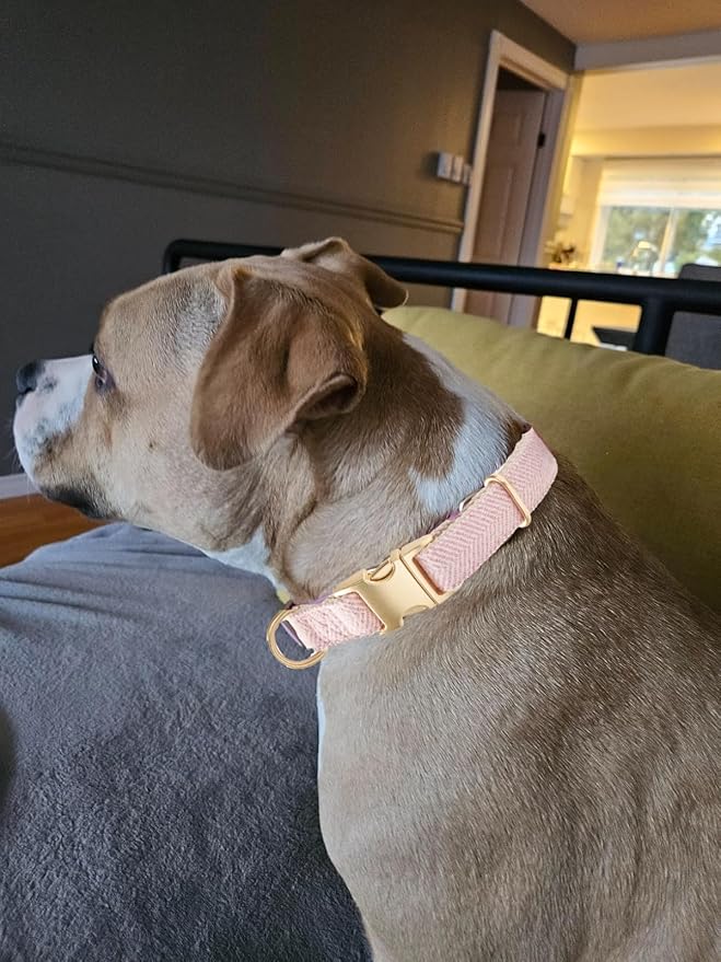Soft Cotton Hemp Dog Collar with Metal Buckle Adjustable Twilled Dog Collars for Female Small Medium Large Dogs(Pink,Large)
