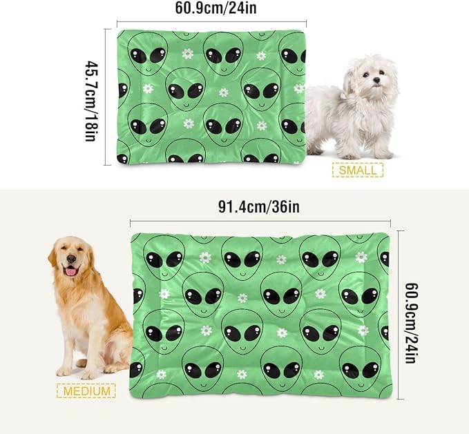Pet Bed Green Alien Cartoons Daisy Flower Dog Bed Mat Absorbing Non Slip Pad Pet Sleeping Mat for Small, Medium, and Large Dogs Puppy Cat 36 in x 24 in