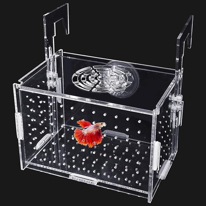 Hamiledyi Acrylic Breeding Isolation Box - Transparent Aquarium Hatchery for Guppy/Shrimp/Small Fish, Safe Nursery Tank with Air Tube & Suction Cups(5.9" × 3.9" × 3.9")