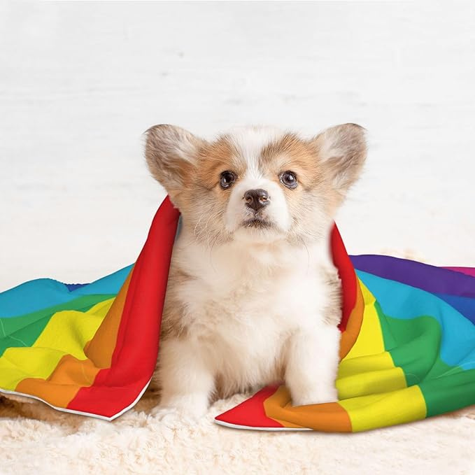 Reversible Plush Pet Blanket for Puppies Kittens, LGBT Pride Rainbow Flag, Double Sided Gentle Dot Texture for New Pets Adjusting to Home Environment Softly