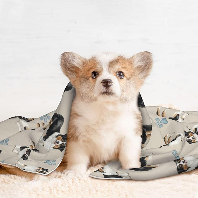 Pet Blanket for Indoor Outdoor Use, Australian Shepherd, Two Sided Reversible Plush Mat with Bumpy Dot Texture for Patios Crates Portable Bed Companion