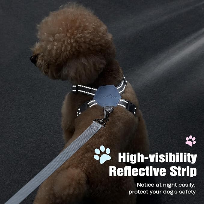 Pawaboo Small Dog Harness and Leash Set, Puppy Harness X-Frame No Pull No Choke, Dog Vest Harness Adjustable for Small Medium Sized Dogs, Soft Breathable Pet Harness for Walking Outing (M, Blue)